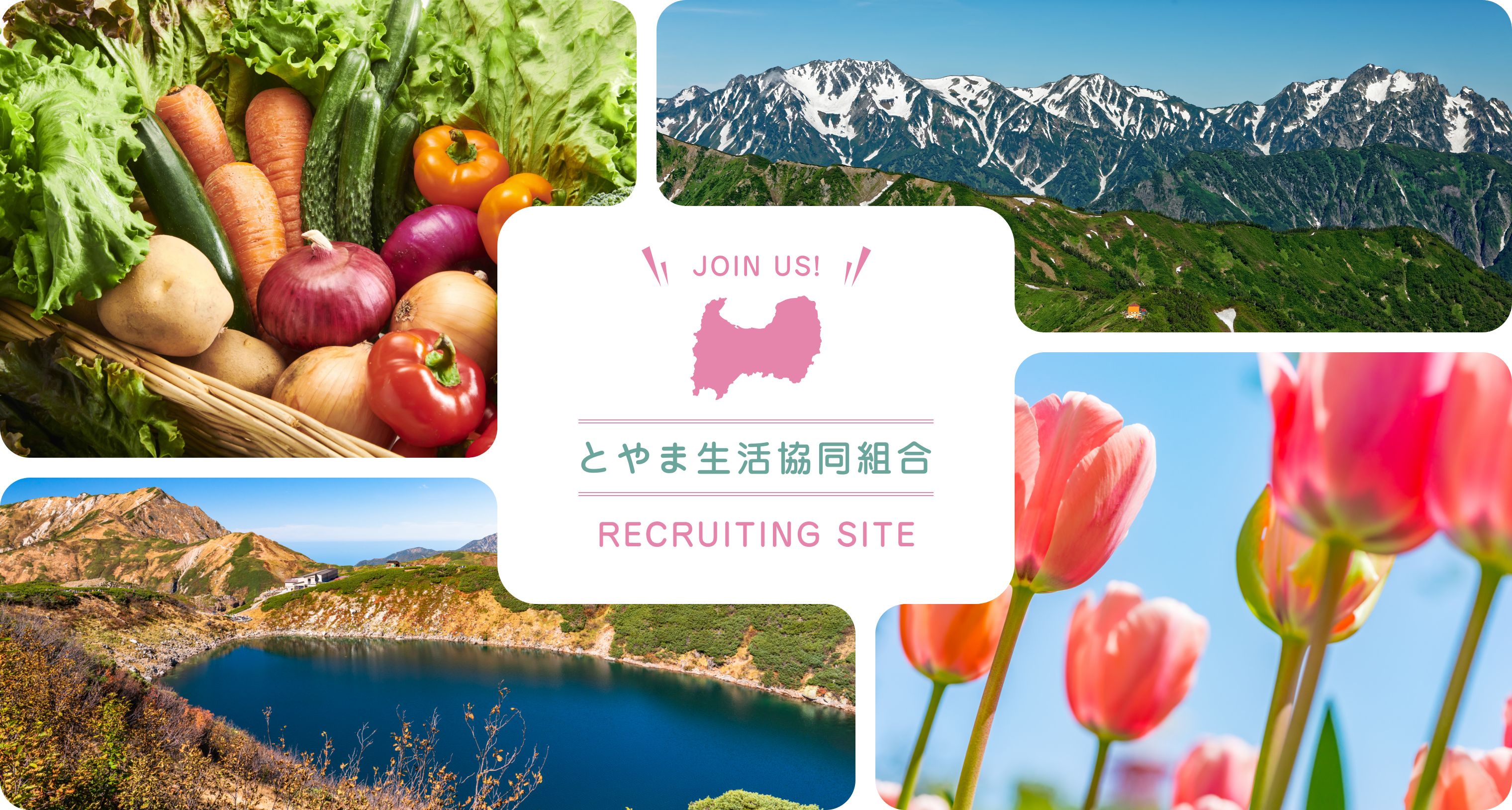 JOIN US! とやま生活協同組合 RECRUITING SITE